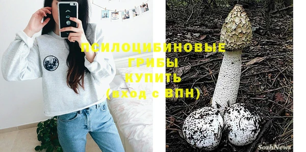 индика Зеленокумск