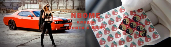 индика Зеленокумск