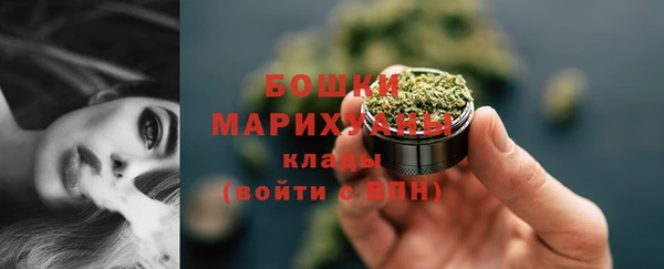 индика Зеленокумск