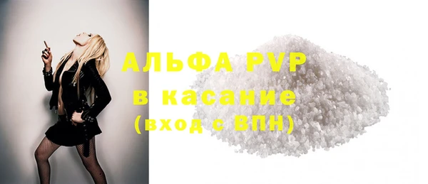 индика Зеленокумск