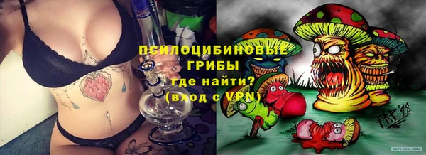 сатива Зеленодольск