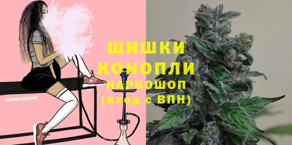 индика Зеленокумск