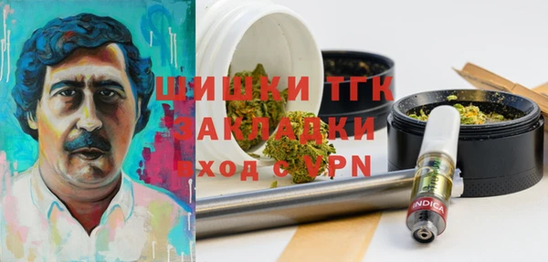 индика Зеленокумск