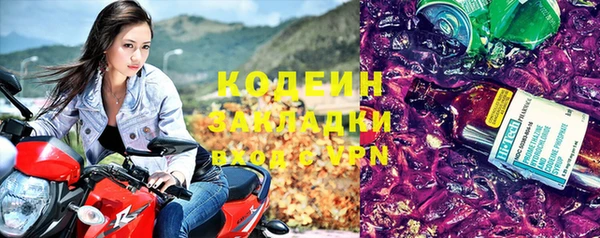 индика Зеленокумск