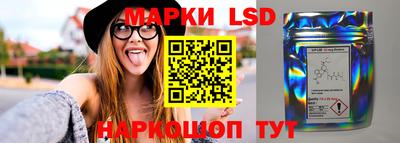 спиды Бийск