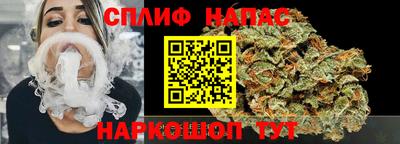 спиды Бийск