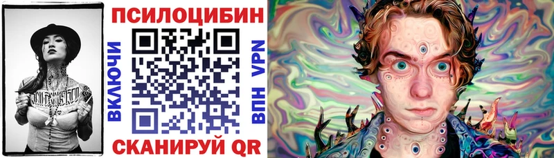 это как зайти блэк спрут ССЫЛКА Зеленокумск Галлюциногенные грибы Psilocybe